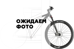 Городской велосипед GIANT Roam 2 Disc (2022)